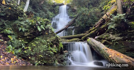 Waterfall cascading in two tiers with fallen trees over it.