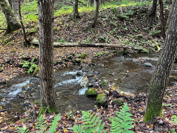 Rocks stacked in a line for a stream crossing.