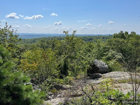 Viewpoint from a side trail.
