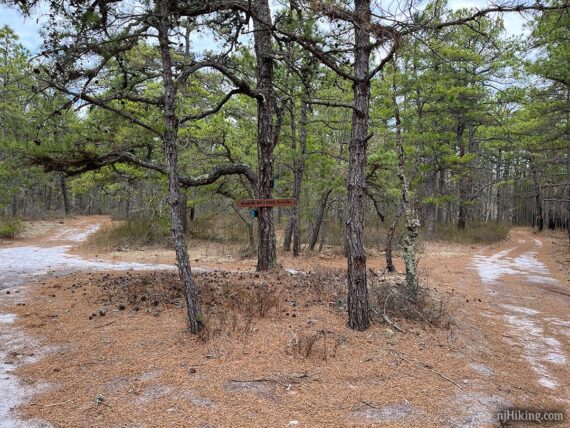 Batona Trail sign for north and south sections.