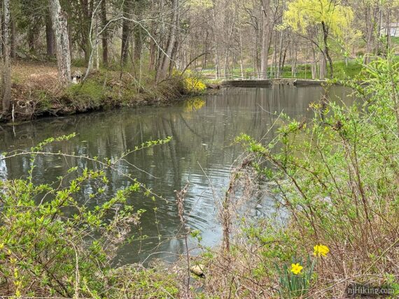 Lake Just-It with vegetation in the foreground.