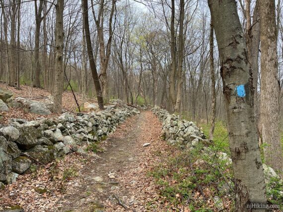 Stacked stone wall on either side of a trail.