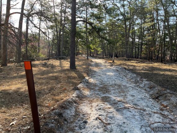 Trail post with orange marker next to a bulldozed sand trail.