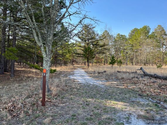 Trail post with orange marker for the Sand and Water trail.