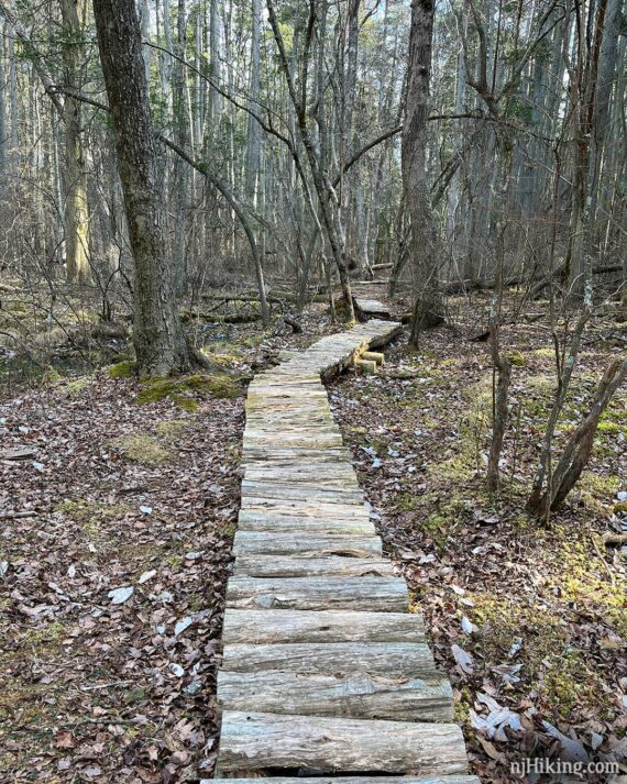 Wooden logs set on a hiking trail to create a boardwalk.