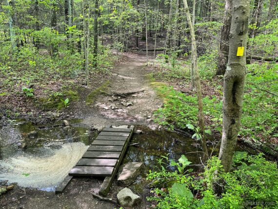 Trail footbridge over a small stream along the yellow trail.