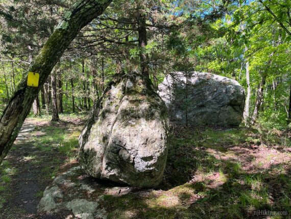 Glacial erratics along the yellow trail.