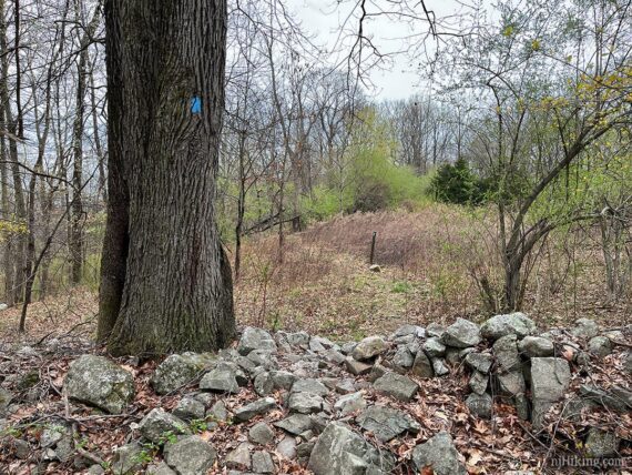 Trail going over an old stone wall.