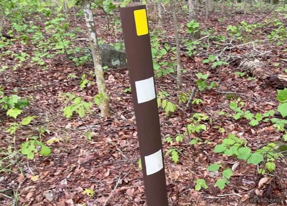 Brown trail marker post with white and yellow blazes.
