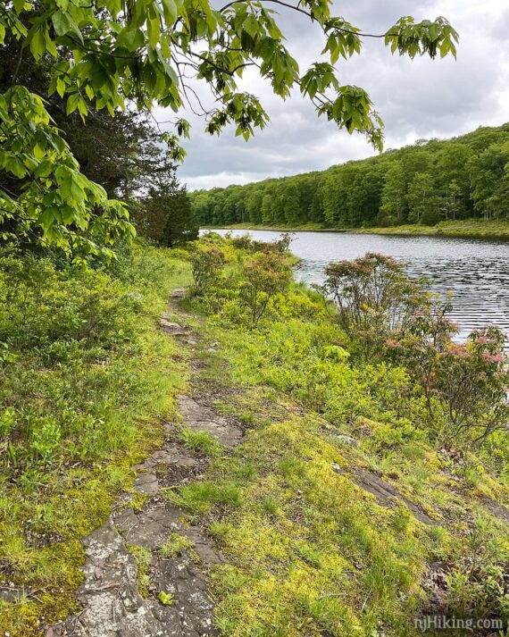 Trail along the edge of Blue Mountain Lake.