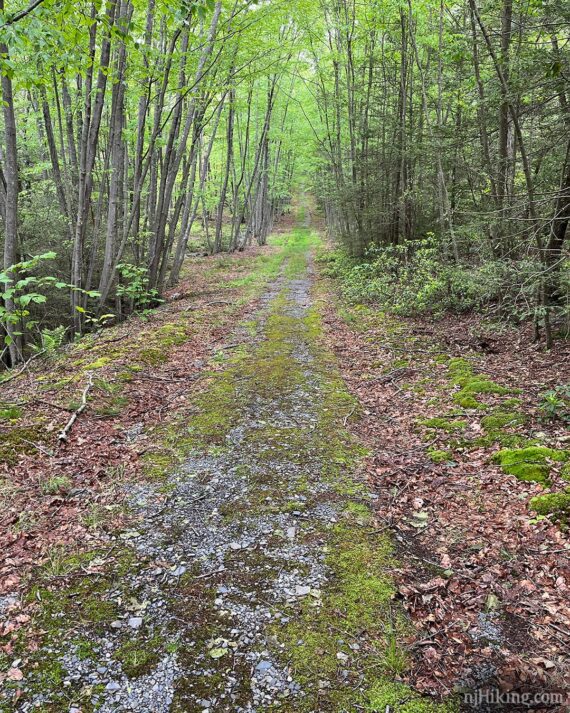 Blue Mountain Lake Trail.