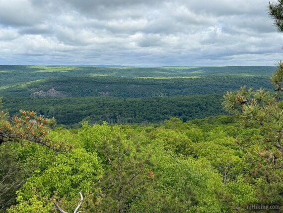 Ridgeline in Pennsylvania seen from Indian Rocks.