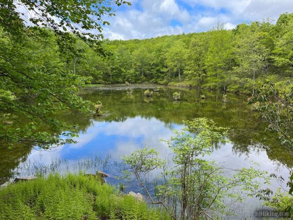 Small pond off of Blue Mountain Lakes Trail.