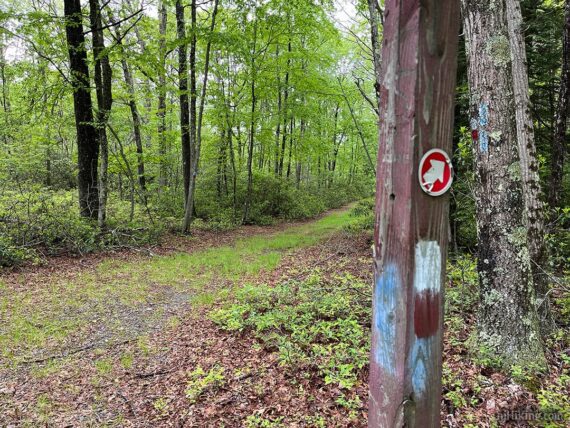 RED-BLUE trail marks on a wooden post at a trail intersection.