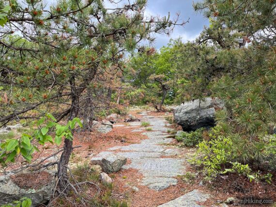 Path to Indian Rocks viewpoint.
