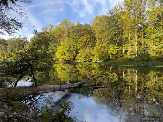 Black River in Chester NJ foliage on 9/27/25.