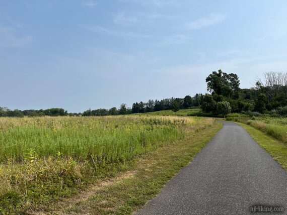 Paved trail through fields in Big Brook Park.