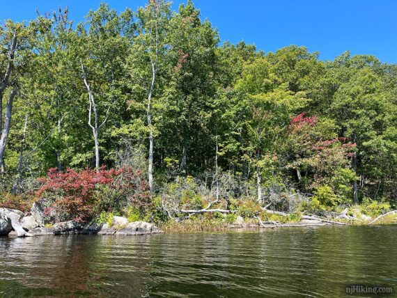 Slight fall color at Wawayanda Lake.