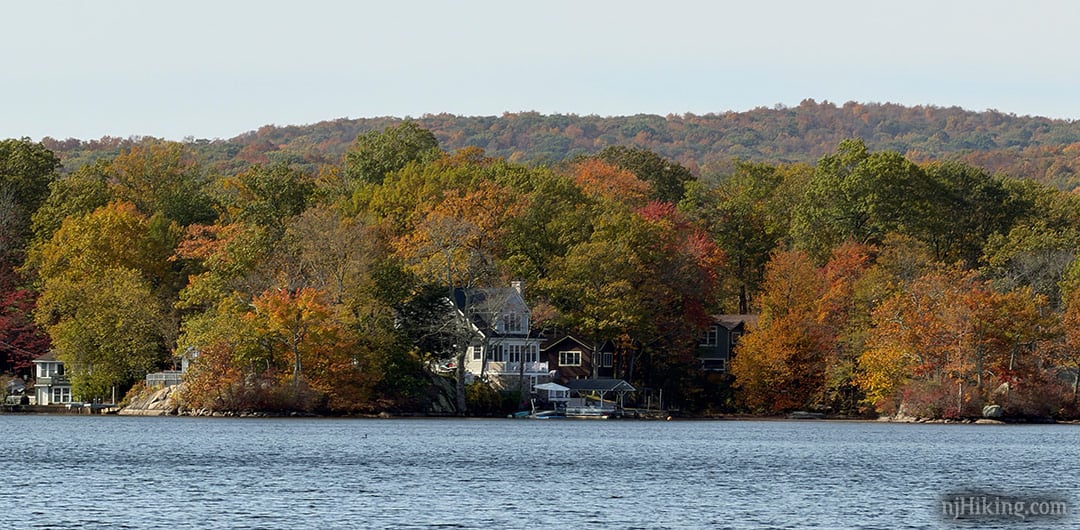 Cranberry Lake foliage.