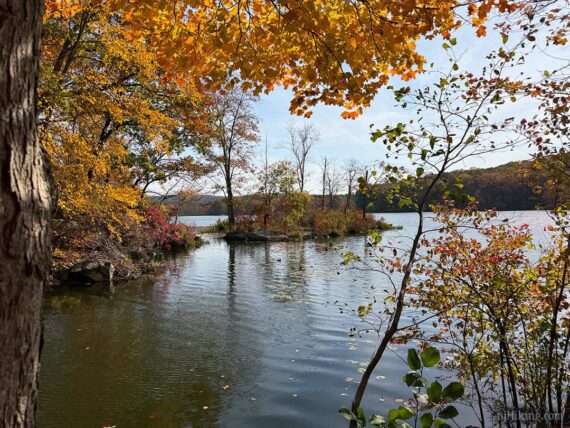 Jefferson Lake in Allamuchy S.P.