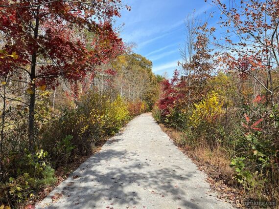 Sussex Branch trail near Whites Pond.