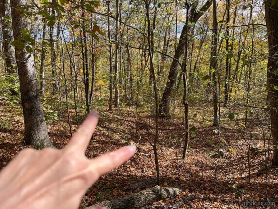 Location of Winston Mine.