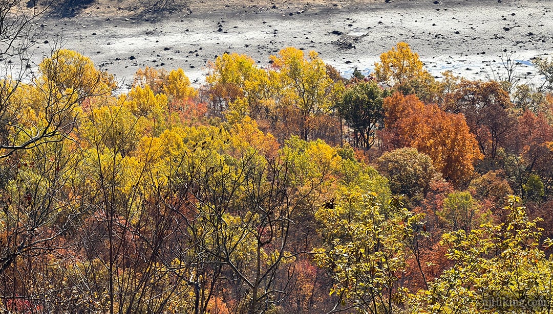 Fall color from Raccoon Ridge.