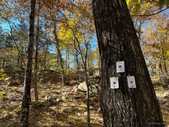Black star on white marker denoting a side trail to a view.