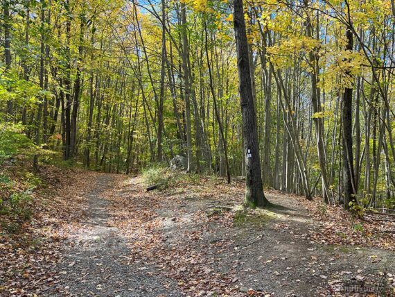 Start of the Monks Trail.