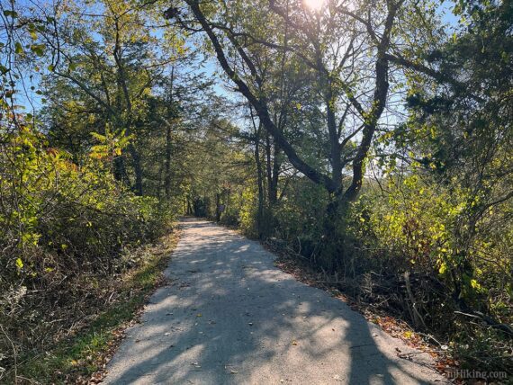 Resurfaced Paulinskill.