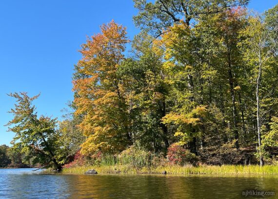 Splitrock Reservoir foliage.