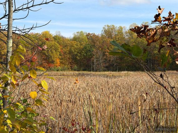 Whites Pond in Kittatinny Valley State Park.