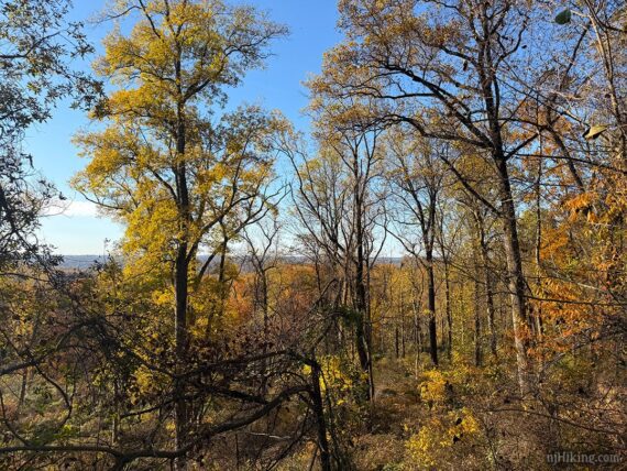 Hills seen through trees.