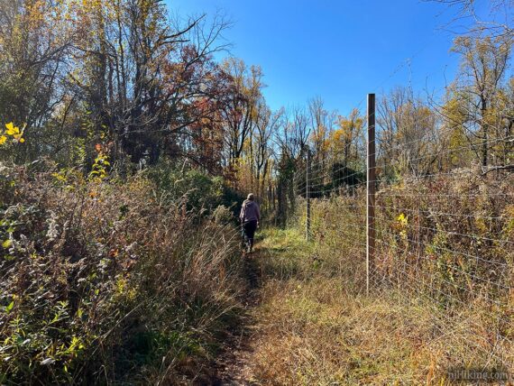 Tall deer fence along a trail.