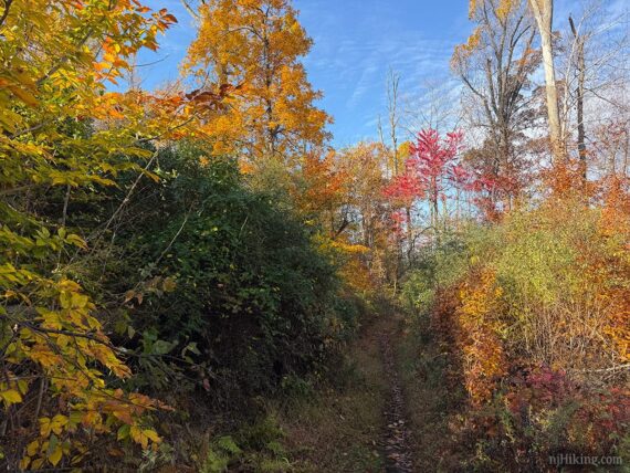 Fall foliage at Baldpate.