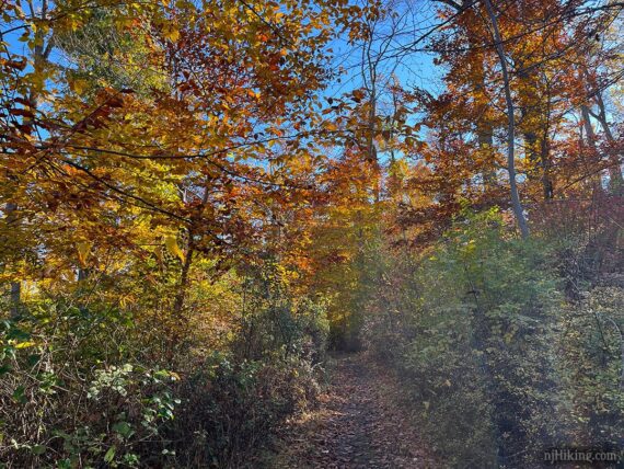Fall foliage at Baldpate.
