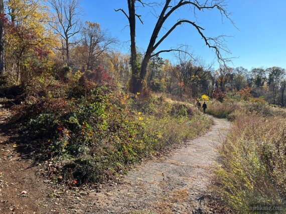 Crumbled paved trail.