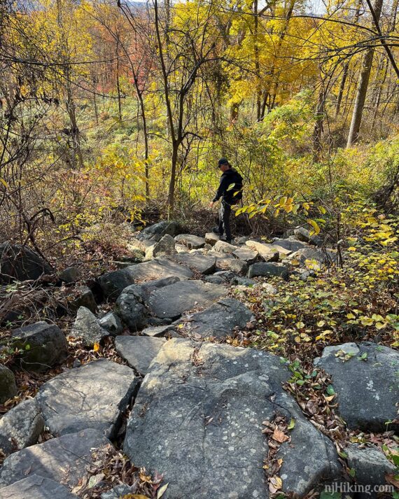 Hiker going down stone steps.