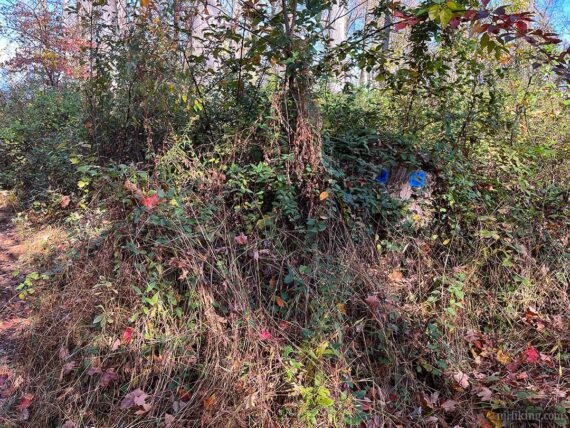 Blue markers at an intersection.