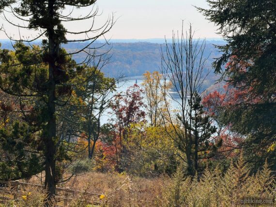 Delaware River seen through trees.