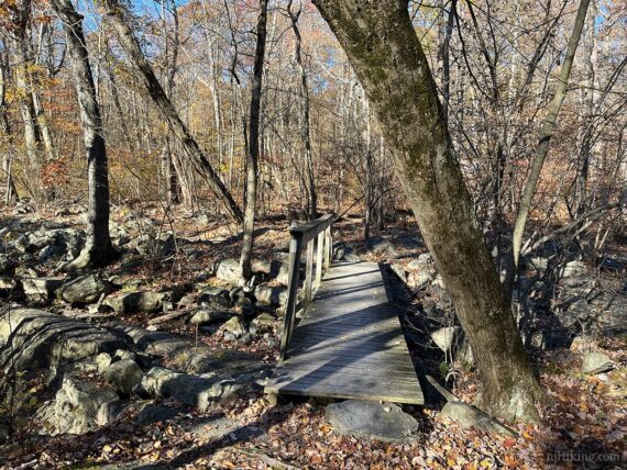 Wooden trail footbridge.