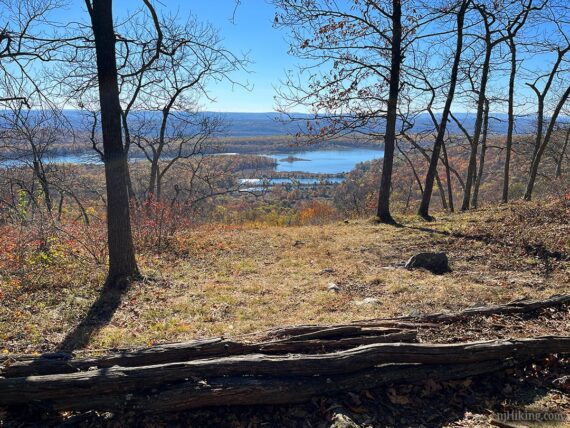 View of a reservoir with a log in the foreground.