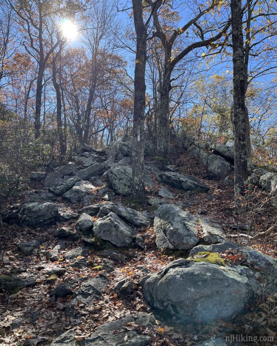 Rocky incline on the Appalachian Trail.