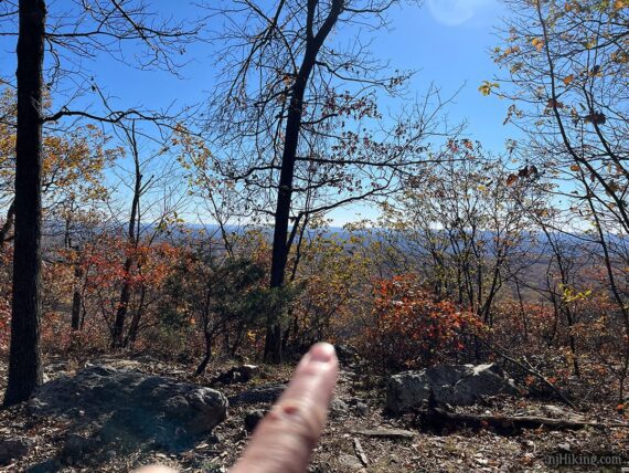 Viewpoint through a break in the brush.