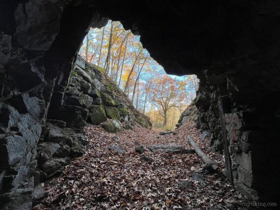 Looking out from the entrance of Hibernia Mine.