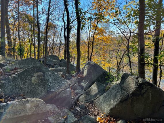 Jumble of rocks on a trail.