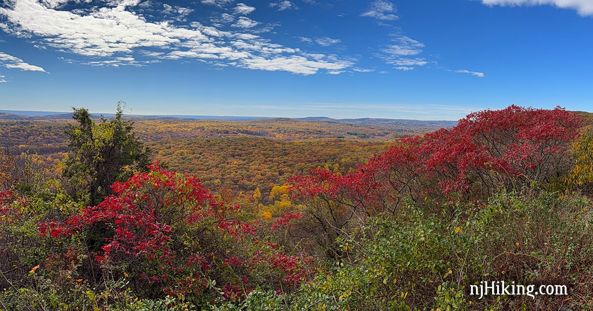 View from the hawk watch on Wildcat Ridge.