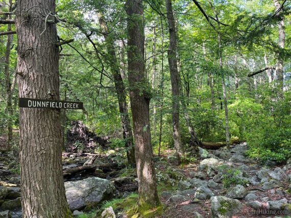 Dunnfield Creek sign.