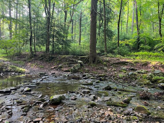 Wide stream crossing with small rocks and low water.