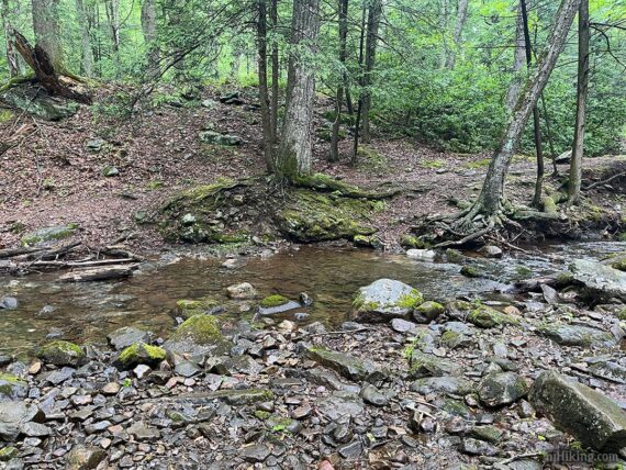 Crossing a creek on rocks.